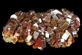 Gorgeous, Red Vanadinite Crystal Cluster - Morocco #127651-1